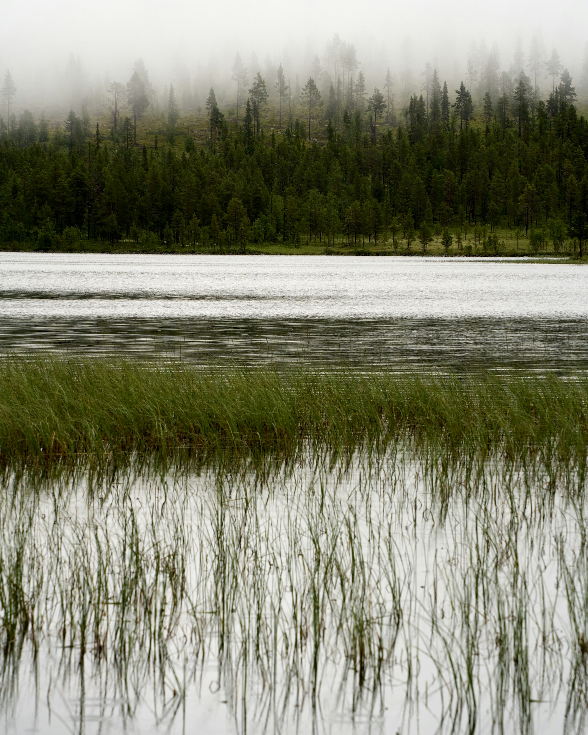 barnabas-davoti-4HcoTMJ-x4k-unsplash